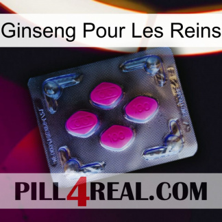 Ginseng For Kidney 02